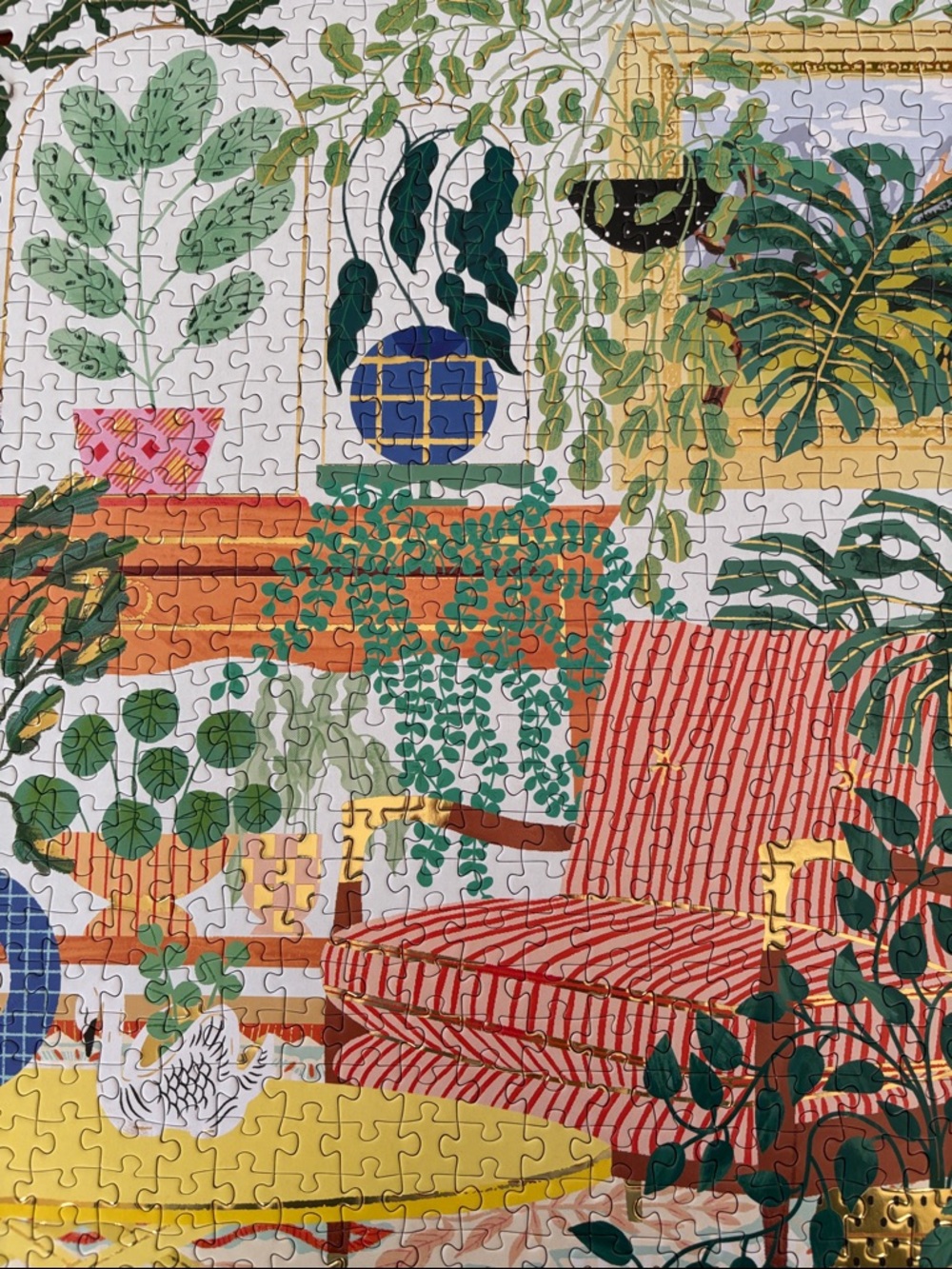 Houseplant Haven